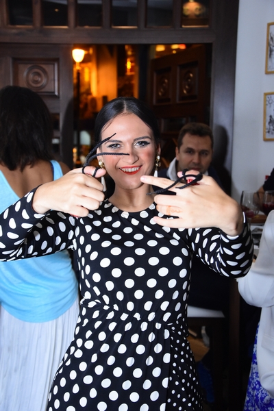 Casa Jose Fiesta Flamenca